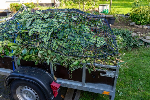 Best Shed Removal  in Park City, IL